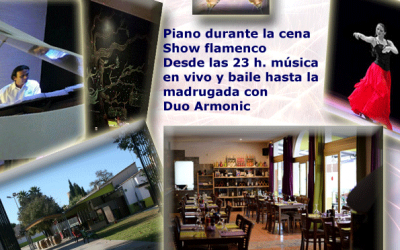 Fiesta Nochevieja en Bioevolución