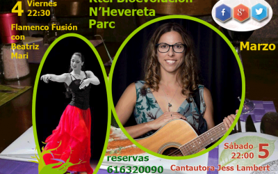 Presentación actuaciones