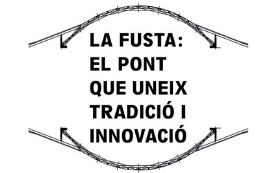 Aportem valor a la fusta: Projecte Ponte Arquato, Leonardo da Vinci