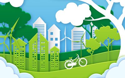 La madera material de construcción que contribuye a la sostenibilidad mediambiental