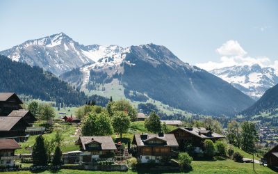 Impulso de la Industria Maderera: Austria versus España