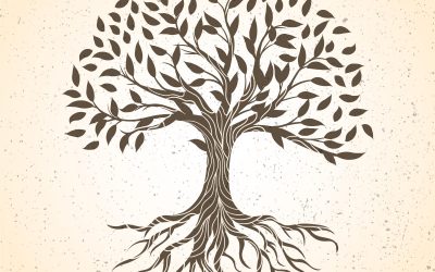 Anatomía del árbol