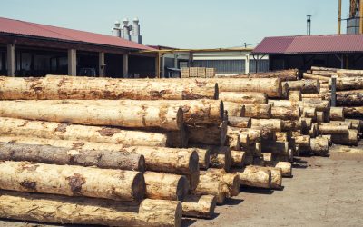 Cómo Implantar un sistema de certificación forestal