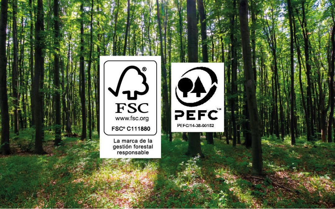 Certificación Forestal: garantía de buena práctica medioambiental