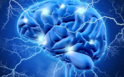 Cognición y estrategias de aprendizaje en el Síndrome de Asperger