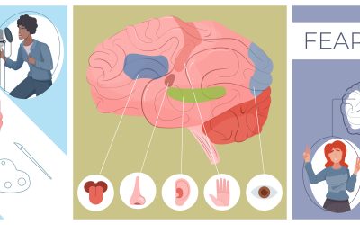 La neurodiversidad en el entorno laboral: inclusión y adaptación