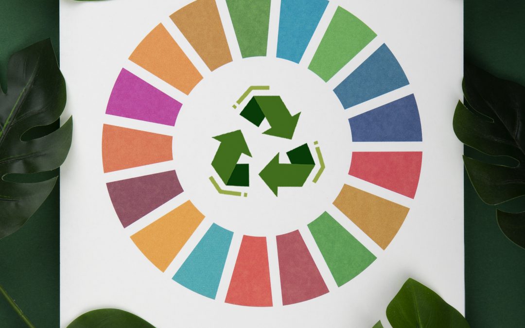 17 Objetivos de Desarrollo Sostenible de la Agenda 2030