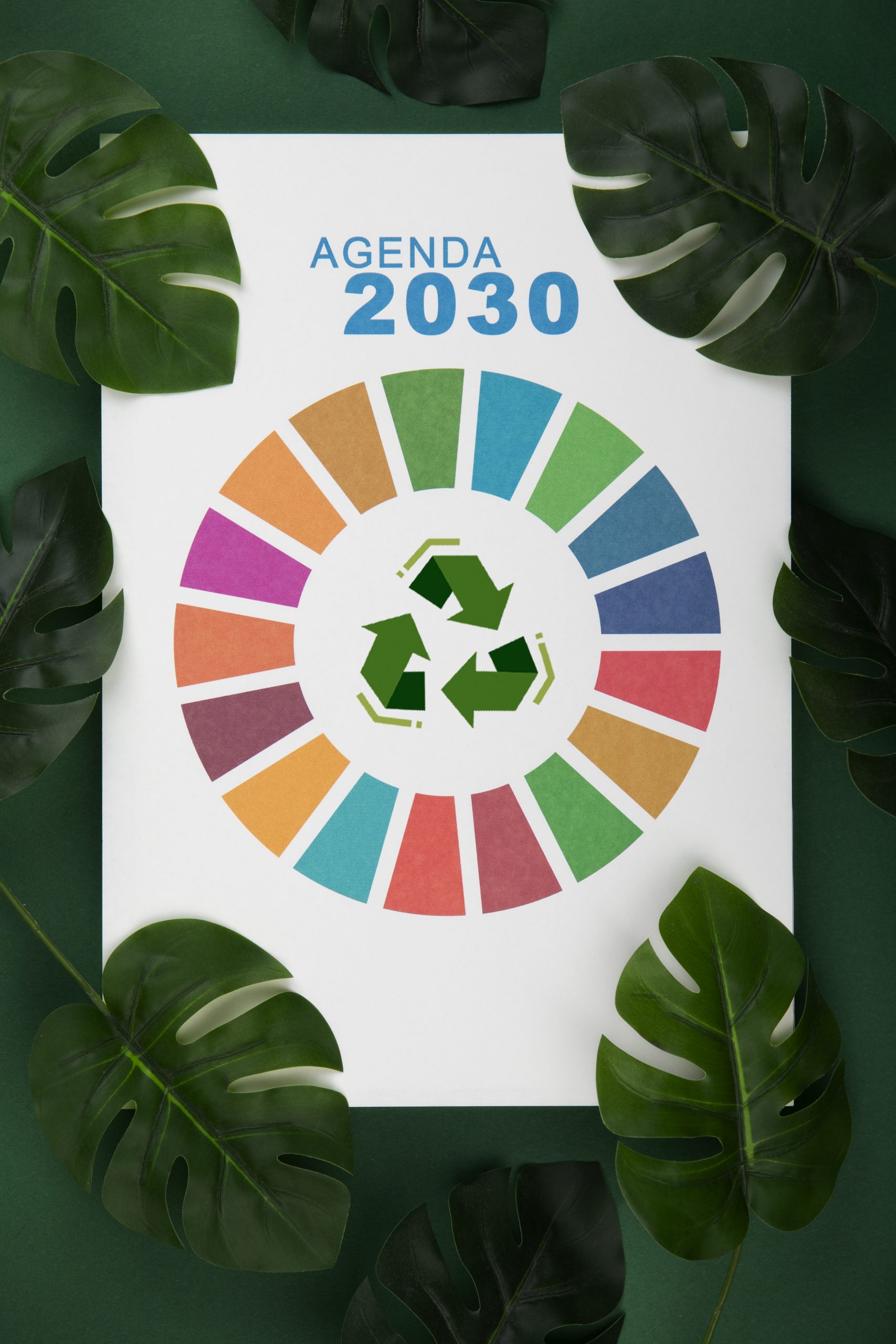 17 Objetivos de Desarrollo Sostenible de la Agenda 2030